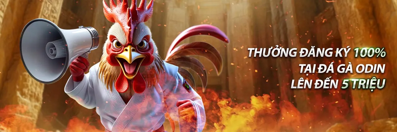 Ứng dụng fun8 đăng nhập trên điện thoại